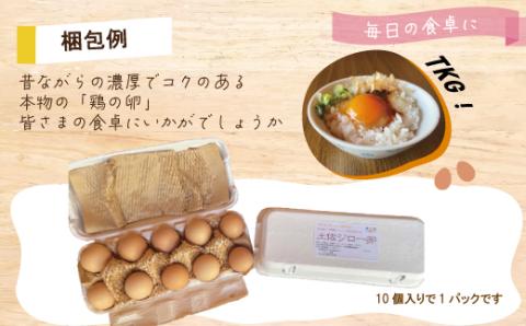 【定期便6回】濃厚でコクのある味わい！のびのび育った土佐ジローの自然卵20個（10個入り×2パック）【合計120個】