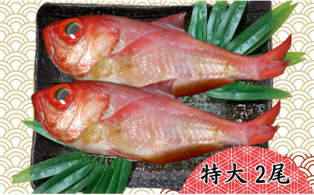 金目鯛 つりきんめの姿煮 2尾 金目鯛