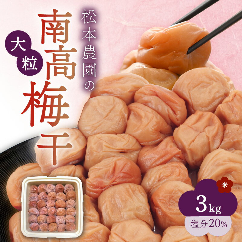 【ふるさと納税】松本農園 大粒 南高梅 3kg【完熟梅 ふっくら肉厚！天日塩のみで漬けた梅干し 塩分濃度20％】