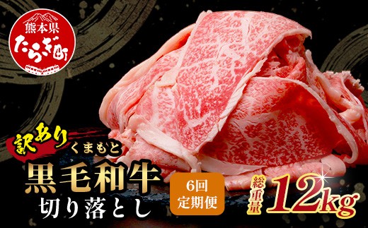 
                  【定期便6回】《訳あり》くまもと黒毛和牛 切り落とし 2kg × 6回配送 【合計12kg】 本場 熊本県 黒毛 和牛 ブランド 牛 肉 定期 定期便 大容量 上質 くまもと 訳アリ 小分け 冷凍 すき焼き しゃぶしゃぶ 113-0567
                