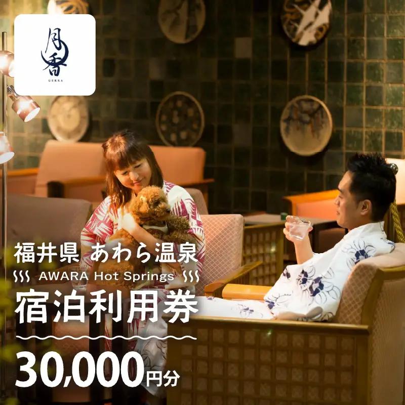 あわら温泉 宿泊利用券 30,000円分 ／ 宿泊券 利用券 旅館 ホテル チケット ペア 観光 旅行 愛犬 ペット可 ドッグラン [aw013-j010]
