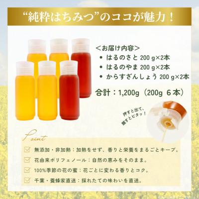 ふるさと納税 大網白里市 千葉県産純粋はちみつ「はるのさと・はるのやま・からすざんしょう」1.2kg(200g2本×3種類) |  | 03