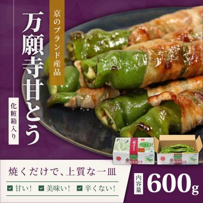 ふるさと納税 舞鶴市 京のブランド産品「万願寺甘とう」600g 化粧箱入り