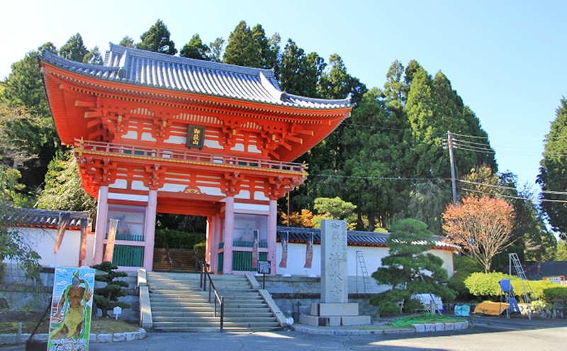 兵庫県加東市 ANAトラベラーズホテル割引クーポン 4,500点分