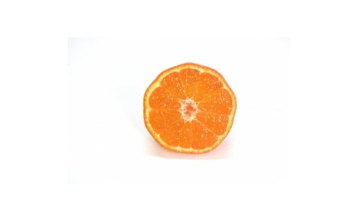 香川県産　小原紅みかん　2L～S【1683990】