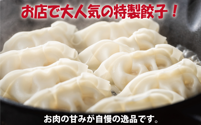 【泉佐野ブランド豚】犬鳴豚餃子 72個 小分け 12個×6P【国産 豚肉 工場直送 ぶた 惣菜 簡単調理 期間限定 数量限定】 G1480_イメージ2
