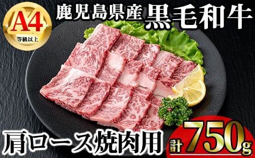 
            【数量限定】鹿児島県産黒毛和牛A4等級以上肩ロース焼肉用 (計750g＋黒毛和牛こま切れ250g×1P) 鹿児島県産 牛肉 冷凍 【KNOT】 A806-v01
          