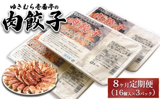 
            【8ヶ月定期便】ゆきむら壱番亭の肉餃子3パック(48個入り) ※離島への配送不可
          