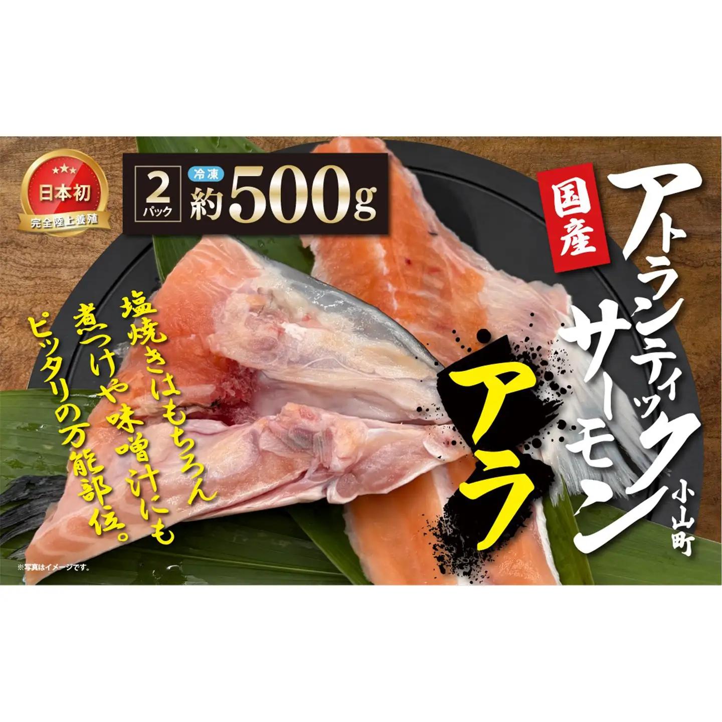 小山町産 アトランティックサーモン アラ×2P 約500g 国産サーモン