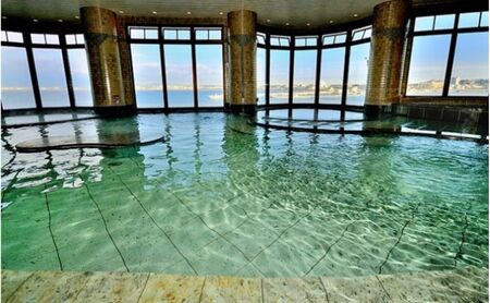 ペア ワンデイスパ入館券 大人用 江の島アイランドスパ ｜スパチケット