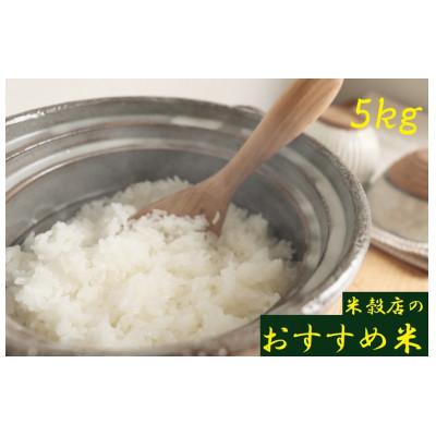 ふるさと納税 紀の川市 令和7年産【紀の川市産地米】米穀店のおすすめ 白米5kg(5kg×1袋入)品種指定なし