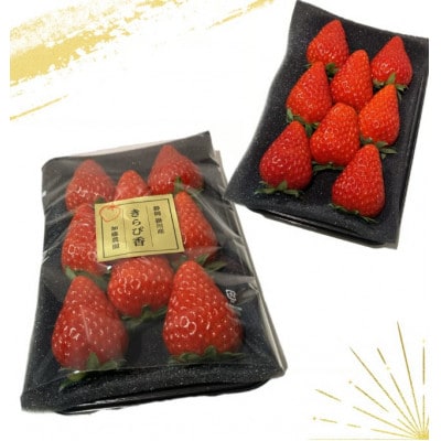 【2027年先行受付】いちご【きらぴ香】1箱 (1箱4パック入り 約250g×4)【配送不可地域：離島・北海道・沖縄県・四国・九州】