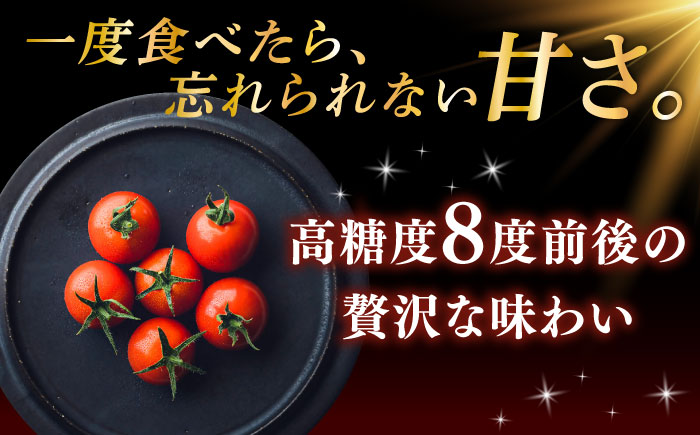 V トマト 糖度8度前後 800g【株式会社ブイ・テクノロジー】 [AKBL003]
