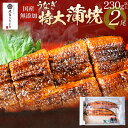 【ふるさと納税】うなぎ 蒲焼 特大 土用の丑の日 国産 うなぎの特大蒲焼 2尾 230g以上 × 2尾 九州産 特大 うなぎ うなぎ蒲焼 鰻 2尾 炭火 AE04 年末年始グルメ