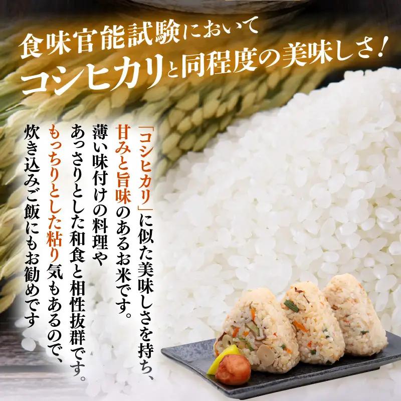 令和7年産  5kg 精米 あきさかり 福井県産《14日以内に出荷予定》【 ごはん 人気品種 産地直送 新生活】 [e66-a014]