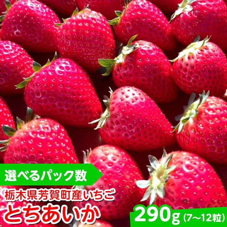 【ふるさと納税】＼選べるパック数／【先行予約】栃木県芳賀町産いちご とちあいか290g(7～12粒) | 果物 フルーツ いちご 苺 イチゴ とちあいか ブランド 期間限定 季節限定 旬 国産※2026年1月上旬～4月下旬頃に順次発送予定