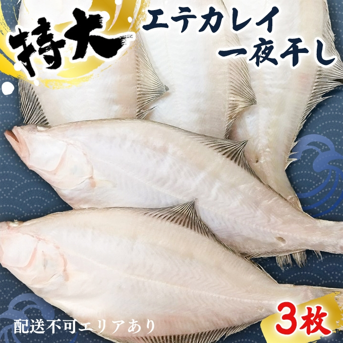 
【ふるさと納税】特大エテカレイ 一夜干し 3枚 魚貝類 魚 地魚 一夜干し エテカレイ カレイ 大きめ 干物 ひもの セット 冷凍 個包装 [№5716-0467]
