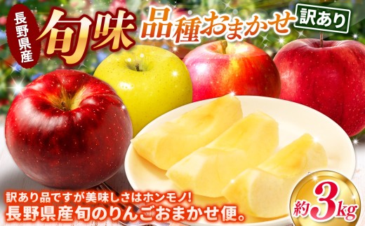 【先行予約】信州産 訳ありりんご【品種おまかせ】約３kg(8～１２玉) 【秋映・シナノスイート・シナノゴールド・名月・サンふじ】《2026年10月上旬頃から発送》 | 果物 くだもの フルーツ 林檎 りんご リンゴ 信州産 秋映 シナノスイート シナノゴールド 名月 サンふじ ワケあり 家庭用 長野県 塩尻市