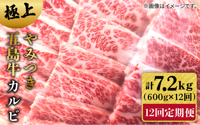 【全12回定期便】極上やみつき五島牛カルビ 600g【肉のマルヒサ】 [PCV034]