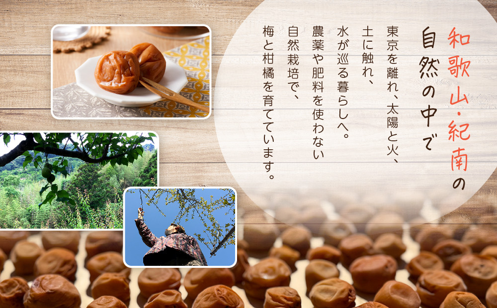 ひとみずの梅干し 150g 自然栽培で育てた紀州南高梅使用 ※栽培期間中、農薬・肥料・堆肥不使用