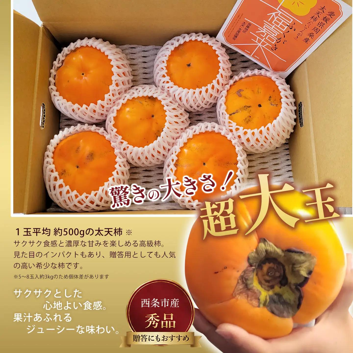 【11月発送】太天柿（秀品）約３kg｜大玉柿