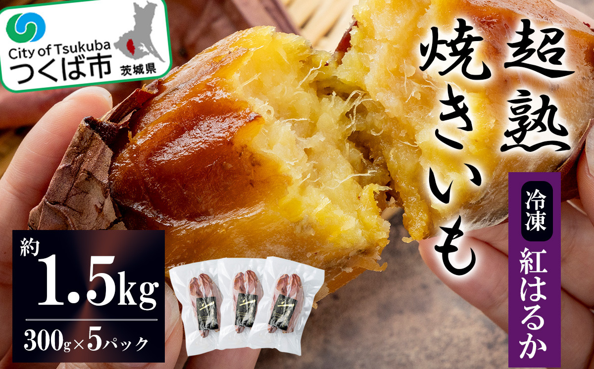 
            【先行予約】超熟焼きいもギフトBOX約1500g(約300g×5パック)【12月上旬以降発送予定】【 紅はるか 焼き芋 冷凍 やきいも 焼芋 さつまいも サツマイモ おやつ スイーツ 甘味 デザート 茨城県 つくば市 】
          