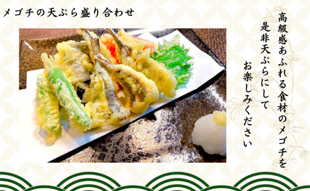 銚子港水揚げ！メゴチの開き 1kg 銚子 冷凍 新鮮 メゴチ 松葉おろし 白身 白身魚 天ぷら 国内加工 バラ凍結 千葉県 銚子市