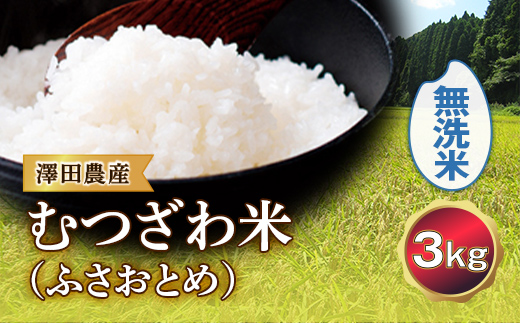 
            令和5年産米 むつざわ米（ふさおとめ）無洗米 3kg 澤田農産 F21G-171
          
