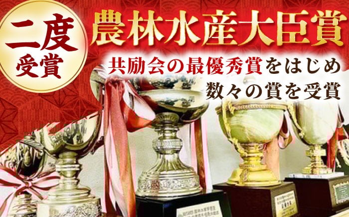 【全6回定期便】佐賀牛 ハンバーグ 5個セット 黒毛和牛 牛肉 定期便 ハンバーグ 個包装 佐賀牛ハンバーグ 佐賀 6ヶ月 定期