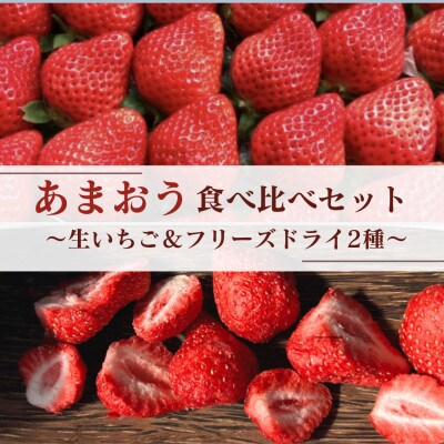 あまおう食べ比べセット【生いちご＆フリーズドライ】(筑後市)【配送不可地域：離島】