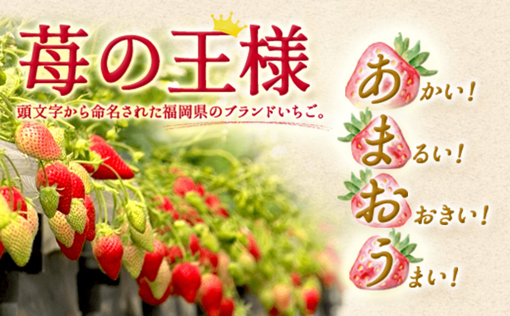  いちご「 あまおう 」＜270g×4パック＞