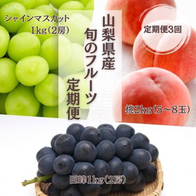 【発送月固定定期便】【2026年先行受付】フルーツ定期便 桃2kg 巨峰1kg シャイン1kg全3回【配送不可地域：離島・沖縄県】