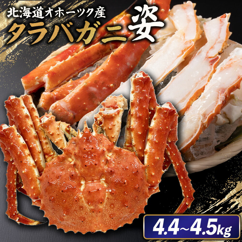 【ふるさと納税】北海道オホーツク産 冷タラバガニ姿　4.4～4.5kg | 北海道産 オホーツク産 オホーツク オホーツク産 オホーツク海産 タラバガニ タラバ カニ かに 蟹 冷凍 ギフト 贈り物 お取り寄せ 北海道 雄武町 雄武【12414】