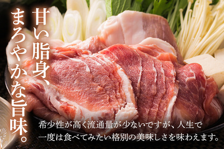 美ら島あぐー豚しゃぶしゃぶセット 食べ比べ ロース バラ 肩ロース 各250g 小分け 真空パック セット 沖縄県 おかず 惣菜 アグー豚 使用 冷凍 小分け おいしい 肉 糸満市 国産 肉汁 たっぷ