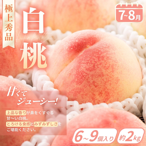 【定期便4回】フルーツ王国かつらぎ町よりお届け！旬のフルーツ定期便【kgr025】