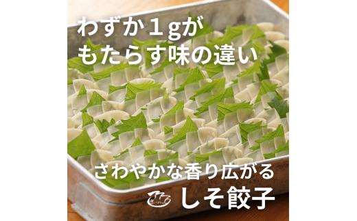 ⑳ぎょーざやさんのしそ餃子18個入り（027_5022）※北海道・沖縄・離島への配送不可