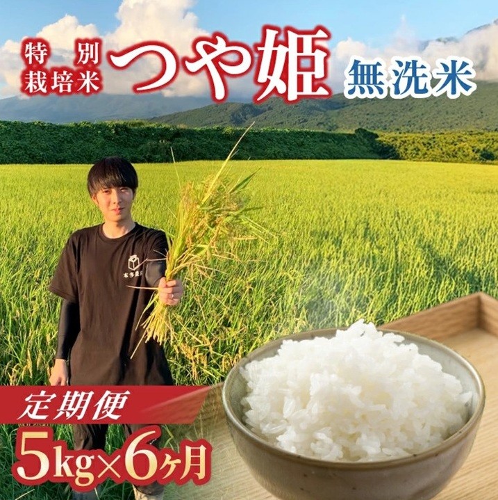 
                  【令和8年産 新米予約】≪6回定期便≫ ［無洗米］つや姫　5kg×6回(計30kg) 農家直送 HO　SH0069
                
