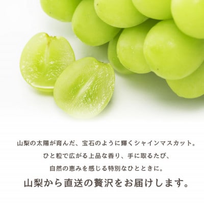 山梨市 シャインマスカット(約2kg)3～4房入り 化粧箱入り ふるさと納税【配送不可地域：離島・沖縄県】