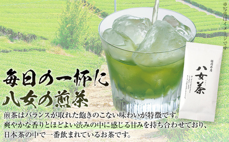 福岡 八女茶 煎茶 200g（100g×2袋）お茶 緑茶 原野製茶 奥八女 八女 茶葉 福岡県 福岡 九州 グルメ お取り寄せ メール便（ポスト投函）