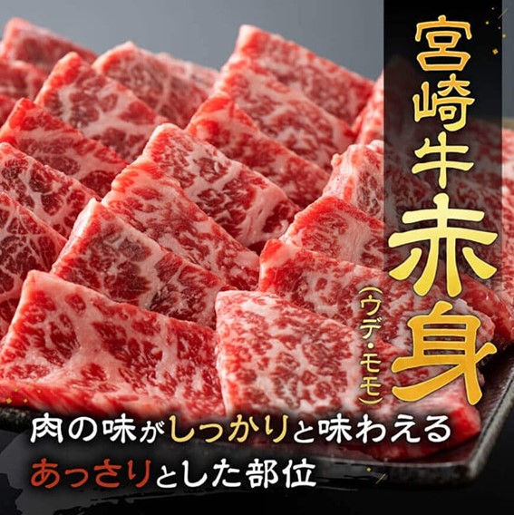 宮崎牛赤身焼肉＆塩だれ牛タン計900g 牛肉牛タン焼肉 [E11147]