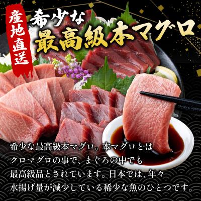 ふるさと納税 石垣市 【数量限定】石垣島産 天然本マグロ 600g (まぐろ赤身・中トロ・大トロのミックスセット) |  | 01