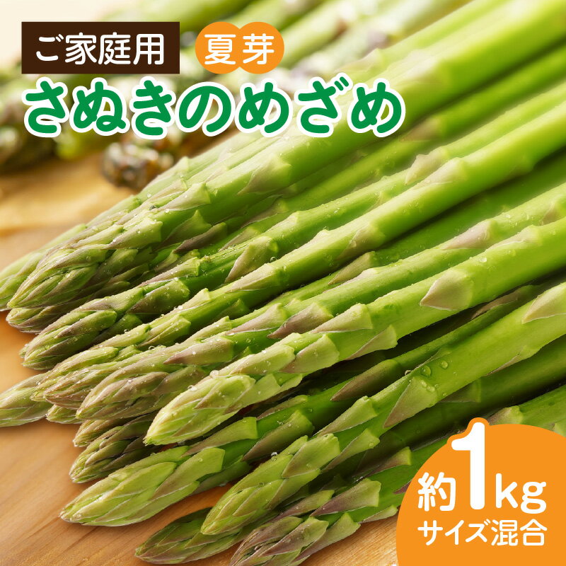 【ふるさと納税】ご家庭用アスパラガス「さぬきのめざめ」(セミロング)夏芽 サイズ混合 約1kg 野菜 アスパラ アスパラガス 人気 お野菜 ギフト お裾分け 贈り物 さぬきのめざめ 家庭用 夏 冷蔵 新鮮 香川県 三木町 セミロング おすすめ 送料無料