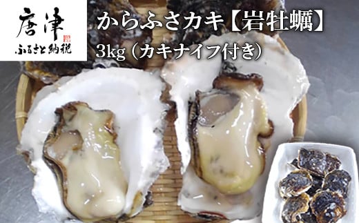 
            『先行予約』【令和8年6月から発送】唐津市唐房産 からふさカキ『岩牡蠣』3kg(カキナイフ付き) 貝 BBQ ギフト アウトドア
          