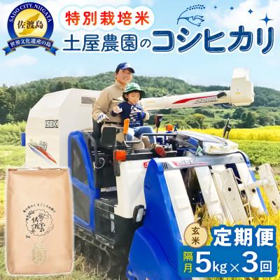ふるさと納税 佐渡市 【2ヵ月毎定期便】佐渡島産コシヒカリ 玄米5kg 土屋農園 農家直送 特別栽培米　全3回
