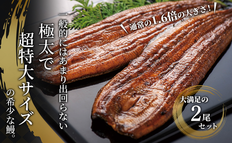 国産 うなぎ 超特大 長蒲焼き 2尾 400g以上 国産うなぎ