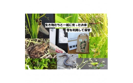 
                  【令和8年産 先行予約】 玄米 10kg 魚沼産コシヒカリ こしひかり 有機栽培・生態系保全・再生可能エネルギー・エコファーマー・生産工程管理
                