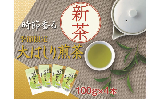 22-10 新茶 静岡川根茶大走り新茶100g×4本