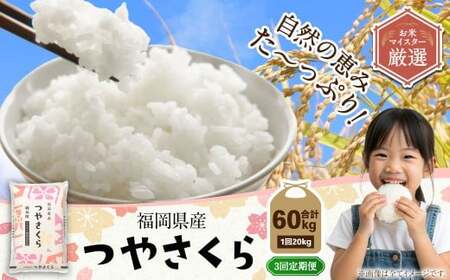 【3ヶ月定期便】福岡県産つやさくら 20kg 岡垣町 ふるさと納税返礼品 お米 こめ 精米 ご飯 ごはん 国産 定期便