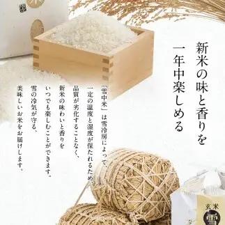 令和8年産【定期便6ヶ月】ななつぼし 精米 5kg（5kg×1袋）【10月発送】 開始 雪冷気 籾貯蔵 雪中米 北海道 nr-2199