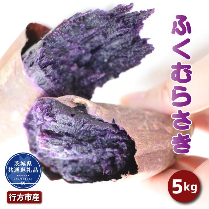 【ふるさと納税】ささつまいも「ふくむらさき」約5kg (2025年産)（茨城県共通返礼品・行方市産）